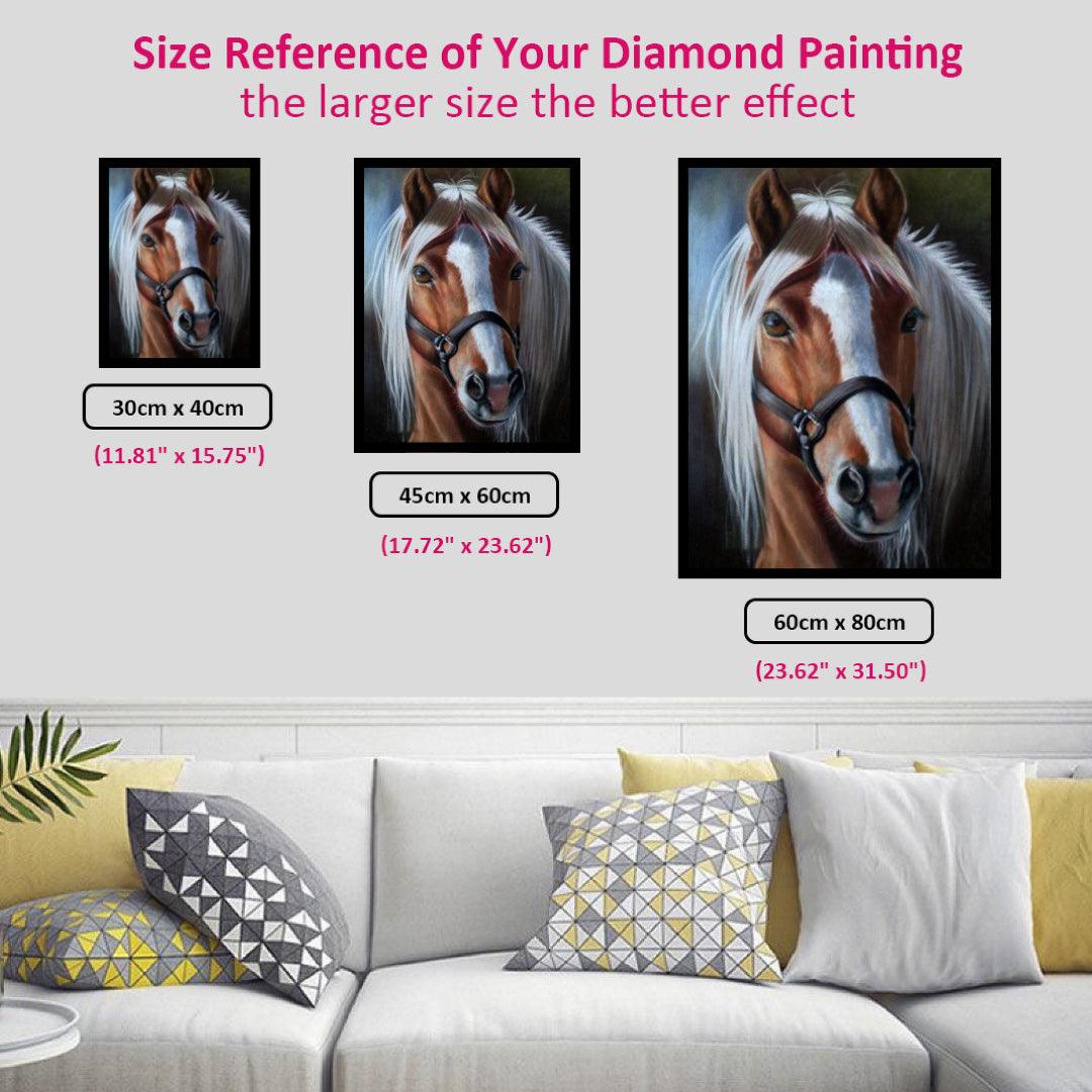 Handsome Horse Diamond Painting