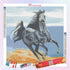 Black Beauty Galloping in the Desert Diamond Painting