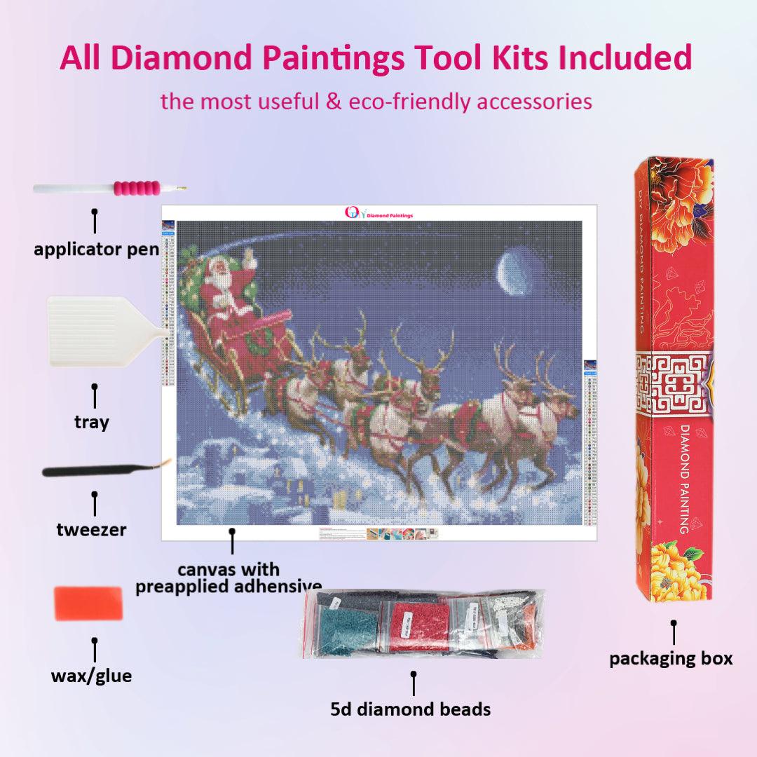 Santa Claus on the Way Diamond Painting