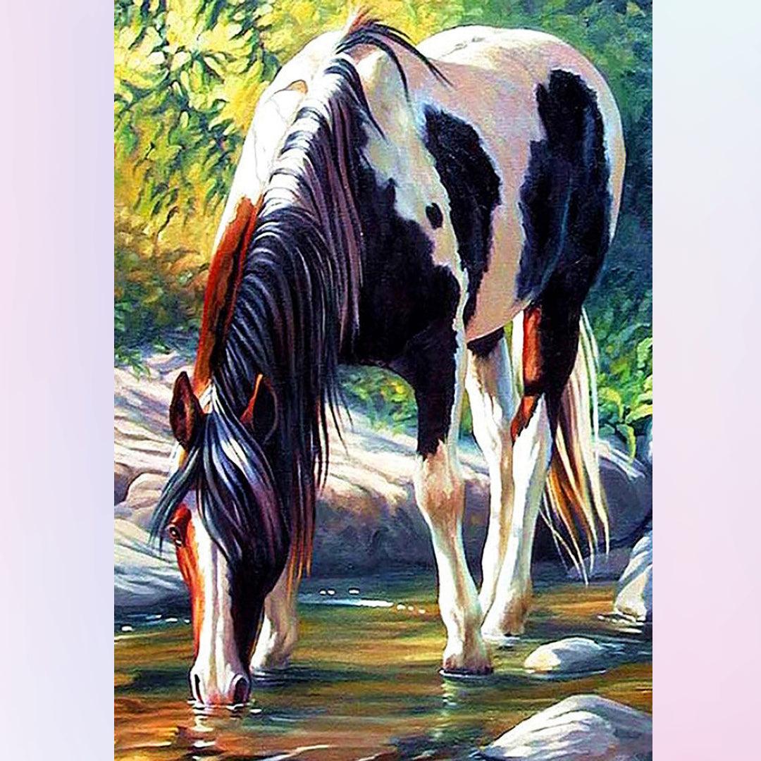 Horse Drinking in the Creek Diamond Painting