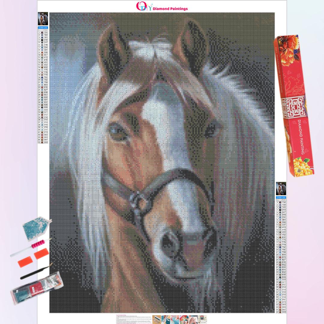 Handsome Horse Diamond Painting