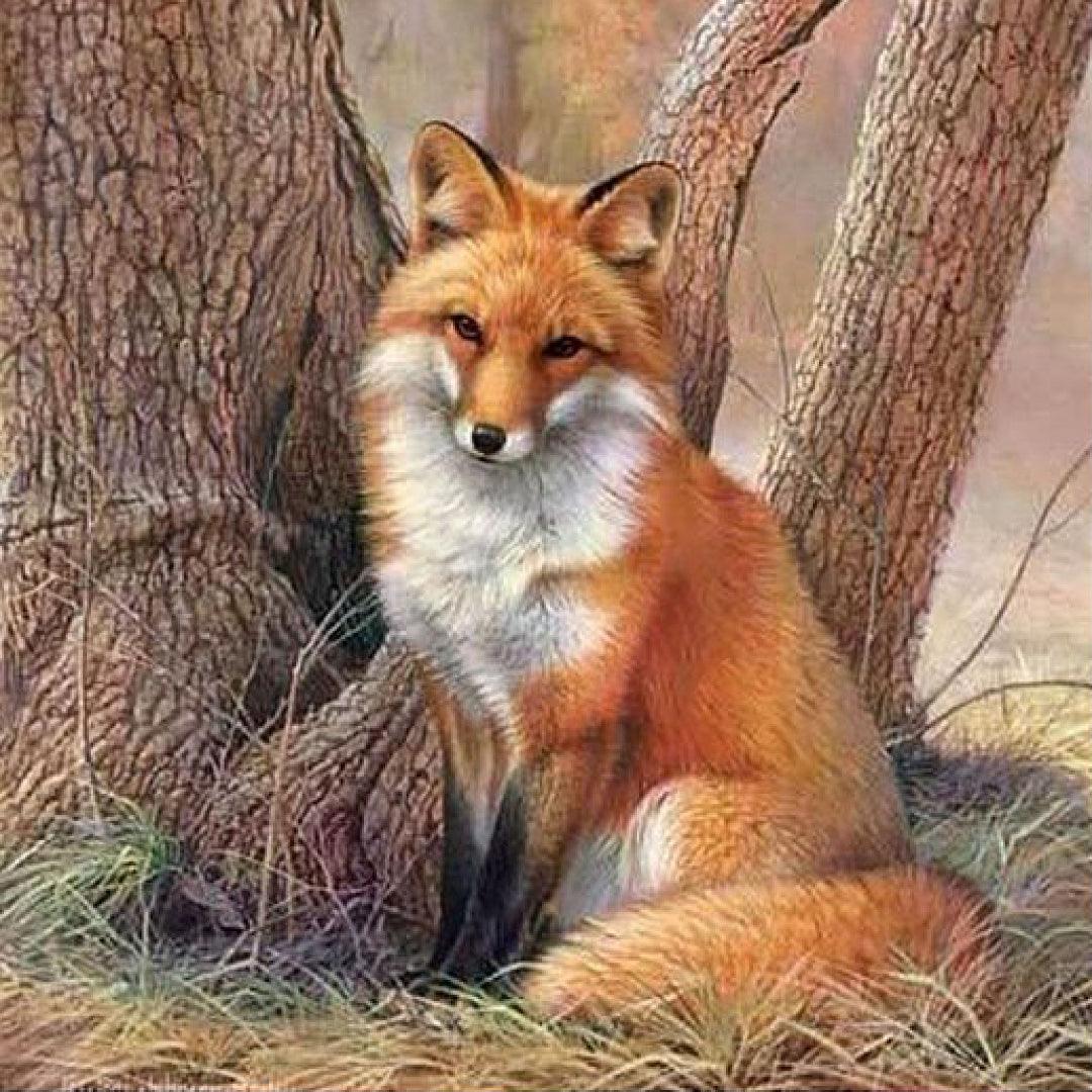 Fox under the Tree Diamond Painting
