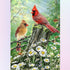 Birds with Daisy Diamond Painting