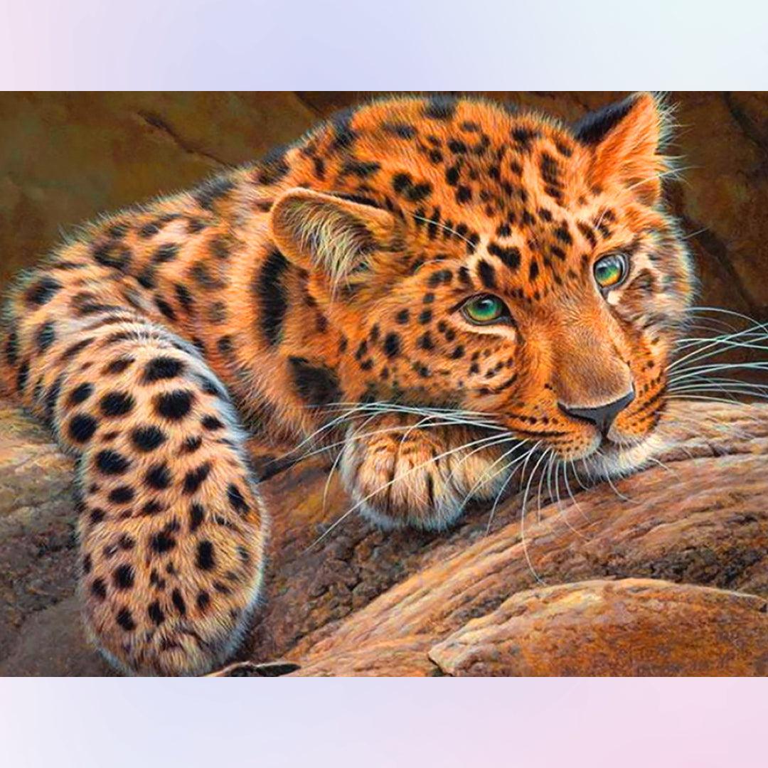 Leopard at Rest Diamond Painting