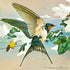 Flying Hummingbird Diamond Painting