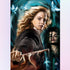 Hermione's Magic Diamond Painting