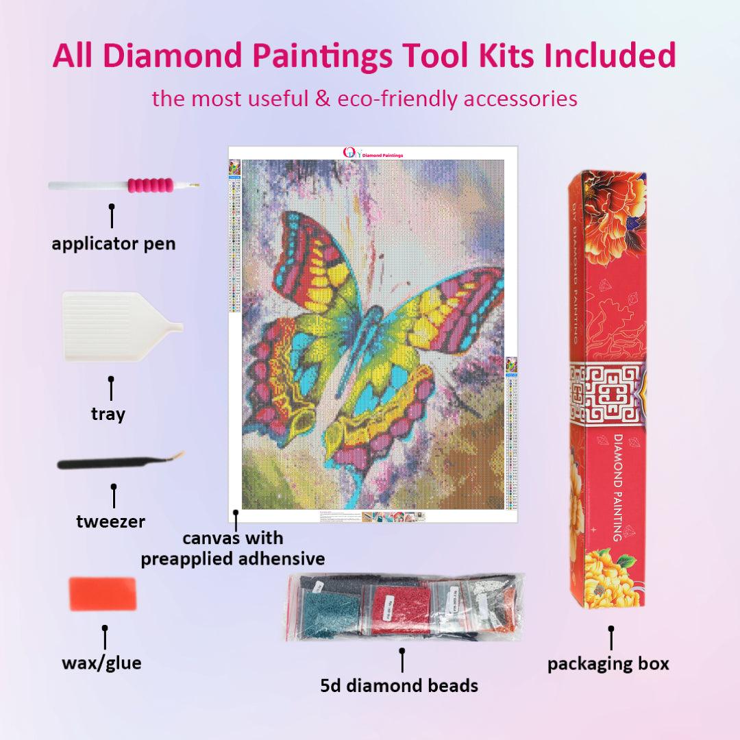 Rainbow Butterfly Diamond Painting