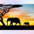 Elephant Homecoming at Sunset Diamond Painting