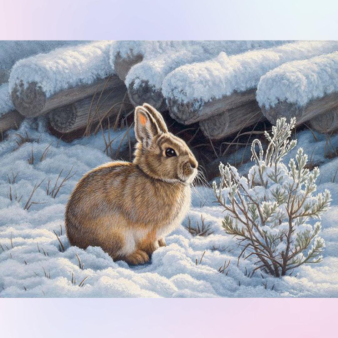 Rabbit in the Snow Diamond Painting