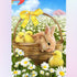 Rabbit & Chicks in the Field of Daisies Diamond Painting