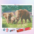 Elephant Parent-child Interaction Diamond Painting