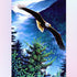 Eagle Flying Across the Forest Diamond Painting