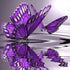 Purple Butterfly Diamond Painting